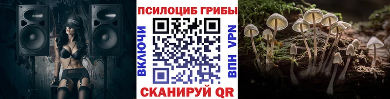 KRAKEN сайт  Подпорожье  Псилоцибиновые грибы мицелий 